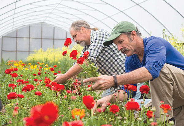 The Evolution Of No Till Farming Practices On Spring Forth Farm